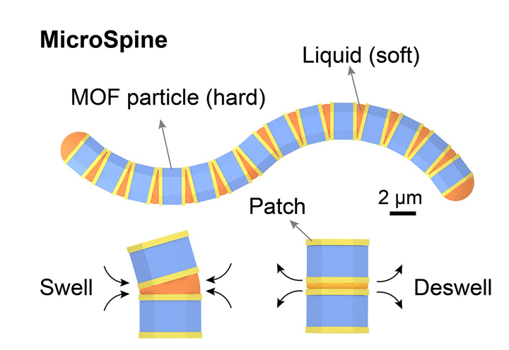 Crafting a Nano Spine for Intricate Deliveries Inside the Body