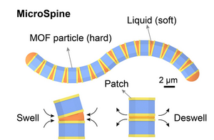 Microspine Structure