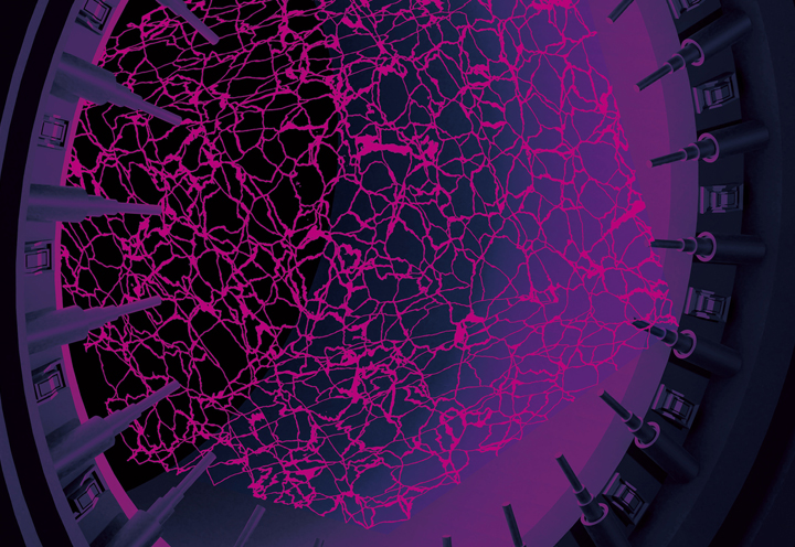 The Secret Switch that Decides How Quantum Matter Changes
