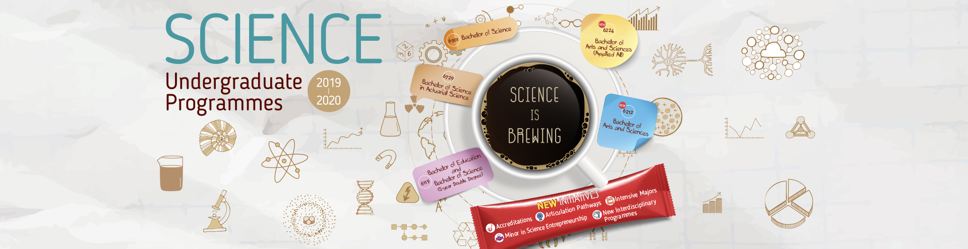 Undergraduate programmes